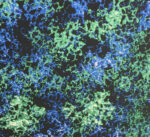Efekt Galaxy Blue Fox Dekorator [5m2] Zestaw - Image 4