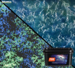 Efekt Galaxy Blue Fox Dekorator [5m2] Zestaw