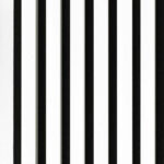 Acoustic White Slat Panels on Black Felt 30x265cm