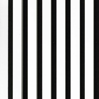 Akustyczny Lamel Biały na Czarnym Filcu 30x265cm