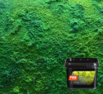 Moss Effect Fox Dekorator [3.5m2] set