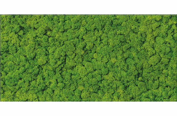 Fresh moss glass inserto 29x59 Plytki Cersanit - Image 1