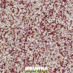 TM1 Mosaic Render Polymer-based Top Coat Deko M A2A3A2 23.8 kg Atlas
