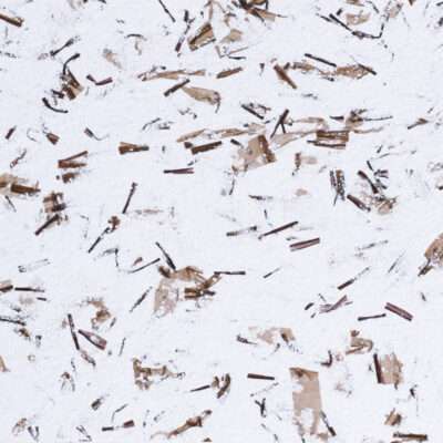 Liquid Wallpaper Silk Plaster 9/8 825g Poldecor